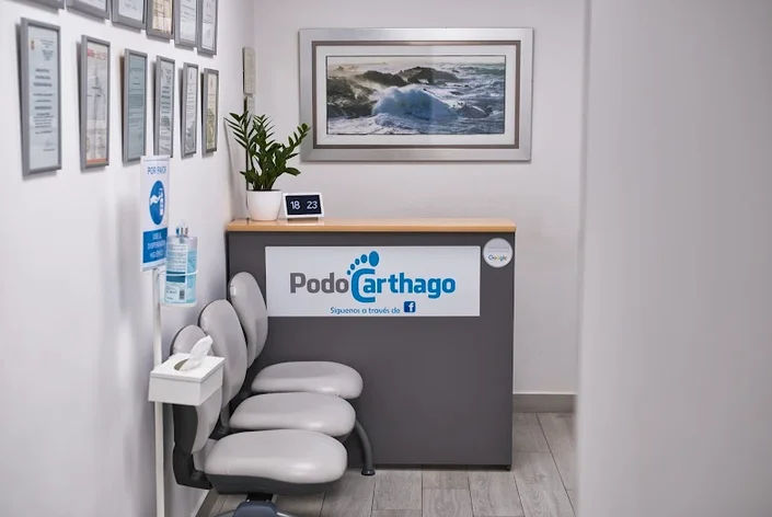 Podocarthago